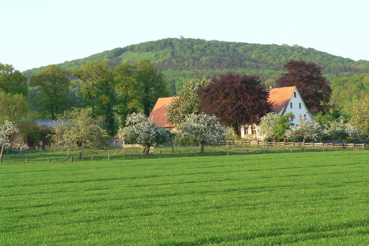 Ferienwohnung an der Obstwiese Borgholzhausen Exterior foto