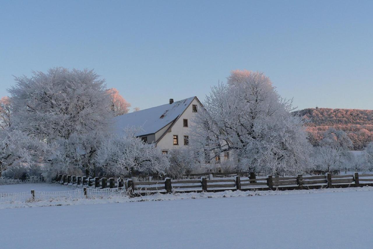 Ferienwohnung an der Obstwiese Borgholzhausen Exterior foto